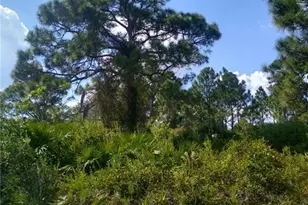 3117 Pickett St, Port Charlotte, FL 33981 - Photo 1