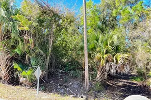 12175 Del Rio Dr, Punta Gorda, FL 33955 - Photo 1