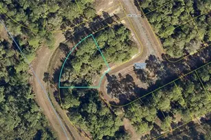 431 Chelsea Loop, Labelle, FL 33935 - Photo 1