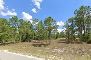 3902 East 10th Street, Lehigh Acres, FL 33972 - Photo 1