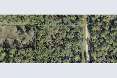 10065 Carpenter Ave, Hastings, FL 32145 - Photo 1