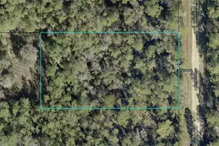 10065 Carpenter Ave, Hastings, FL 32145 - Photo 1