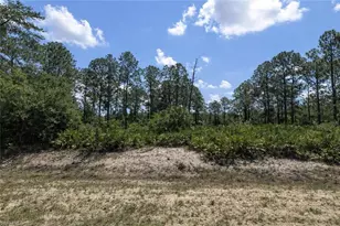 22 Wellington Ave, Lehigh Acres, FL 33936 - Photo 1