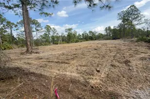 325 Abbott Ave, Lehigh Acres, FL 33936 - Photo 1