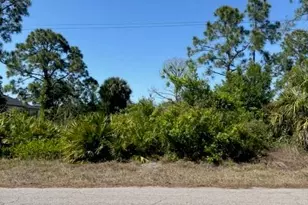 703 East 11th Street, Lehigh Acres, FL 33972 - Photo 1