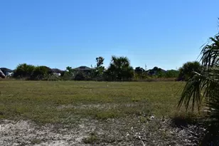 4304 NW 36th St, Cape Coral, FL 33993 - Photo 1