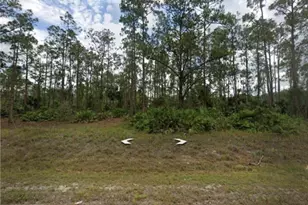 802 Sheldon Ave, Lehigh Acres, FL 33936 - Photo 1