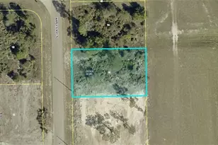 959 Naples Ave S, Lehigh Acres, FL 33974 - Photo 1