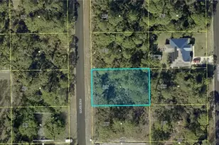 729 Dante Ave S, Lehigh Acres, FL 33974 - Photo 1
