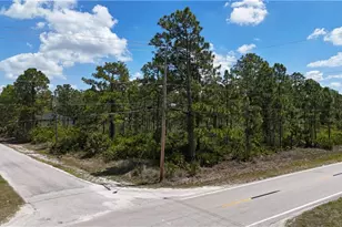 1406 W 10th St, Lehigh Acres, FL 33972 - Photo 1
