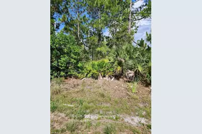 1016 Rush Ave, Lehigh Acres, FL 33972 - Photo 1