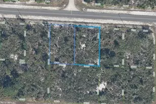 3546 & 3544 Paso Fino Dr, Lake Placid, FL 33852 - Photo 1