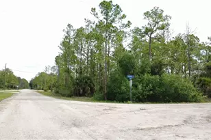 346 Sapphire St, Lehigh Acres, FL 33972 - Photo 1