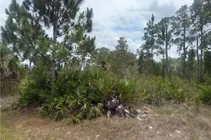 3111 36th St W, Lehigh Acres, FL 33971 - Photo 1