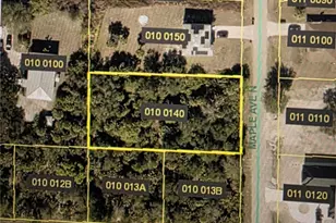 803 Maple Ave N, Lehigh Acres, FL 33972 - Photo 1