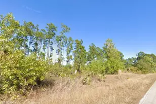 845 Bumby St E, Lehigh Acres, FL 33974 - Photo 1