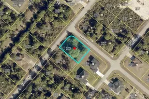333 Bradley Ave, Lehigh Acres, FL 33974 - Photo 1