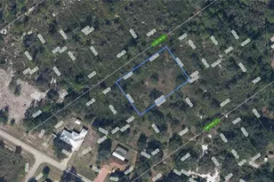 1211 Clinton St, Lake Placid, FL 33852 - Photo 1