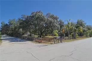 2971 Styles Rd, Alva, FL 33920 - Photo 1