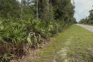 2114 Wellington Ave, Alva, FL 33920 - Photo 1