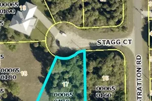 3707 Stagg Ct, Fort Myers, FL 33905 - Photo 1