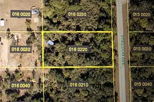 919 Sheldon Ave, Lehigh Acres, FL 33936 - Photo 1