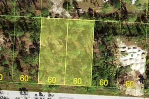 27418 & 27424 Pasadena Dr, Punta Gorda, FL 33955 - Photo 1