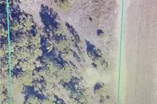7500 1st Terrace, Labelle, FL 33935 - Photo 1