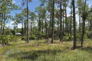 2210 Truman Ave, Alva, FL 33920 - Photo 1