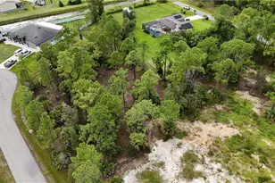 3012 Laura Ct, Lehigh Acres, FL 33971 - Photo 1