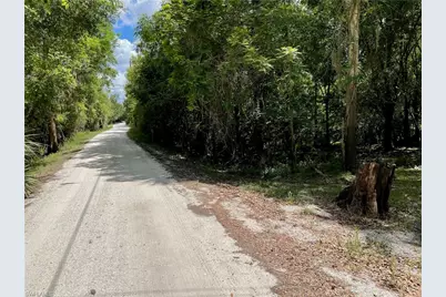 1091 NW Hodent Rd, Arcadia, FL 34266 - Photo 1