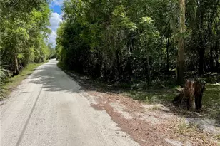 1091 NW Hodent Rd, Arcadia, FL 34266 - Photo 1