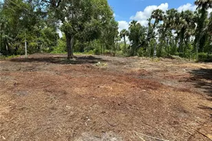 8581 Ortiz Cir, Fort Myers, FL 33905 - Photo 1