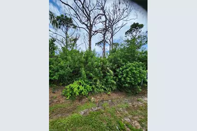 3853 Citrus St, Saint James City, FL 33956 - Photo 1