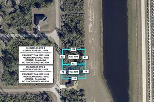 953 Naples Ave S, Lehigh Acres, FL 33974 - Photo 1