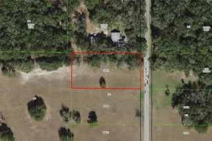 2988 N Anthony Ave, Hernando, FL 34442 - Photo 1