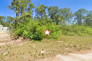 905 Emerald St, Labelle, FL 33935 - Photo 1