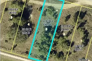 3206 Meadow Rd, Lehigh Acres, FL 33974 - Photo 1