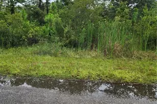 1951 Roderick Ln, Lehigh Acres, FL 33972 - Photo 1