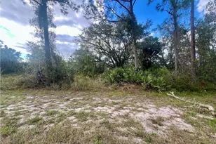1123 Bowman Terrace, Port Charlotte, FL 33953 - Photo 1