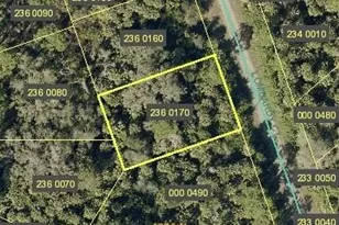 627 Lombardy Ct, Lehigh Acres, FL 33972 - Photo 1