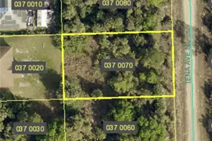 6015 Tena Ave N, Lehigh Acres, FL 33971 - Photo 1