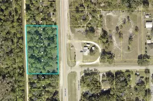 2305 Joel Blvd, Alva, FL 33920 - Photo 1