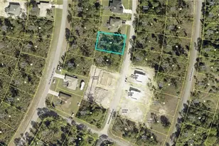 316 Mangonia Ave, Lehigh Acres, FL 33974 - Photo 1