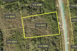2605 Irma Ave N, Lehigh Acres, FL 33971 - Photo 1