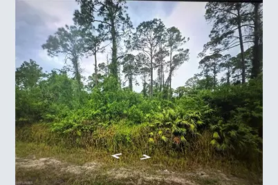 1203 James Ave, Lehigh Acres, FL 33972 - Photo 1