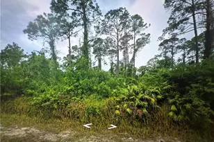 1203 James Ave, Lehigh Acres, FL 33972 - Photo 1