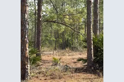 1508 Cleveland Ave, Lehigh Acres, FL 33972 - Photo 1