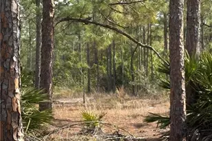 1508 Cleveland Ave, Lehigh Acres, FL 33972 - Photo 1