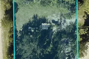 26985 Sun Village Ln, Bonita Springs, FL 34135 - Photo 1